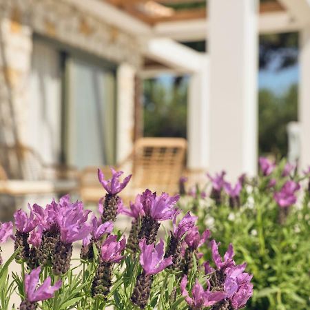 Gerakas Luxury Villas Vasilikí المظهر الخارجي الصورة